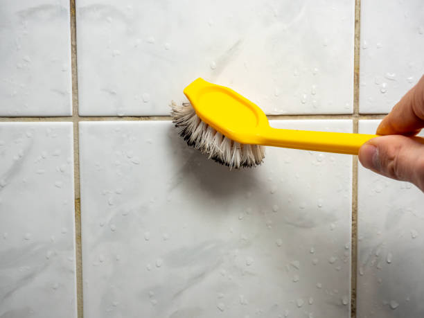 Best Mold Cleaning Services  in Dublin, TX