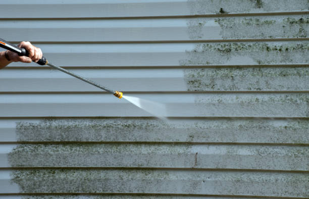 Best Residential Mold Removal  in Dublin, TX