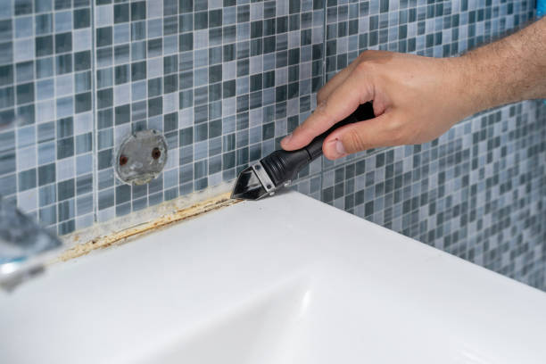 Home Mold Removal in Dublin, TX
