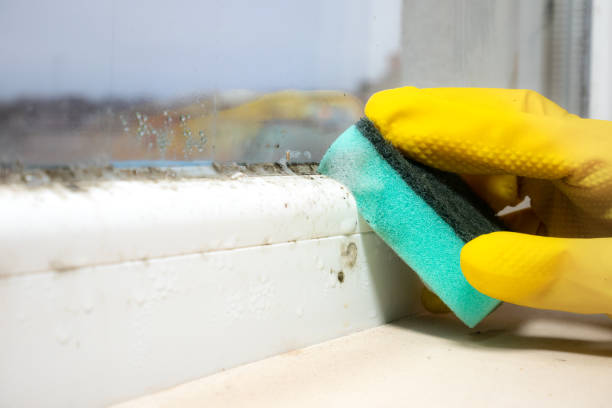 Water Damage Restoration in Dublin, TX