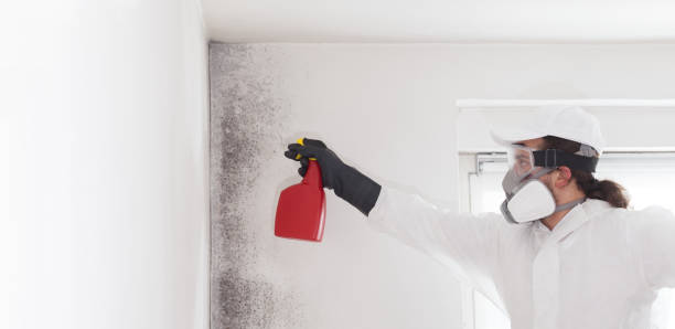 Best Mold Testing  in Dublin, TX