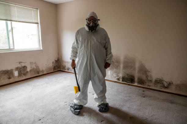 Best Mold Damage Repair  in Dublin, TX